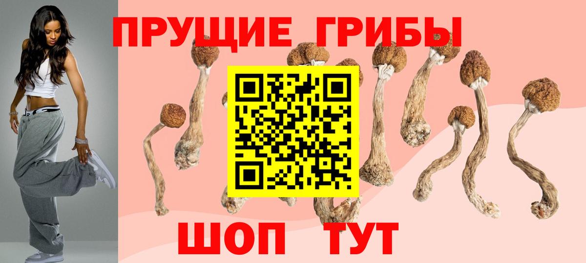Похвистнево  Псилоцибиновые грибы прущие грибы  Вход с VPN 